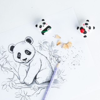 Gumka do mazania Kidea (PAGUTKA)