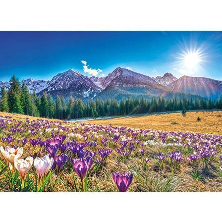 Kalendarz ścienny ZACHÓD SŁOŃCA trójdzielny A3+ Jotan (T43)