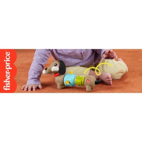 Zabawka edukacyjna jamnik aktywizujący Fisher Price (HTW91)