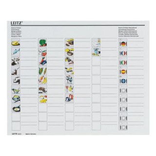 Kartoteka (pojemnik) na teczki wiszące Plus przezroczysty polistyren PS [mm:] 395x273x 170 Leitz (19930303)