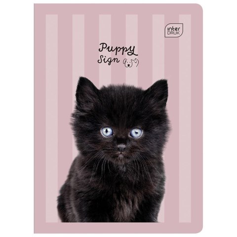 Zeszyt PUPPY SIGN A5 32k. 70g linia kolor Interdruk