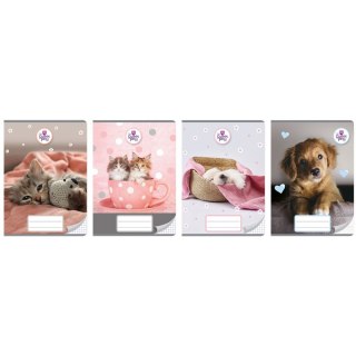 Zeszyt THE SWEET PETS A5 16k. KRATKA Beniamin (2696)