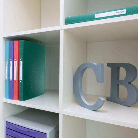 Segregator ringowy Colour Breeze A4 25mm lawendowy Esselte (628438)