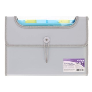 Teczka z przegródkami 6 przekładek PP szara 590565880310 A4 kolor: szary 6 przegródek Strigo (SF101)