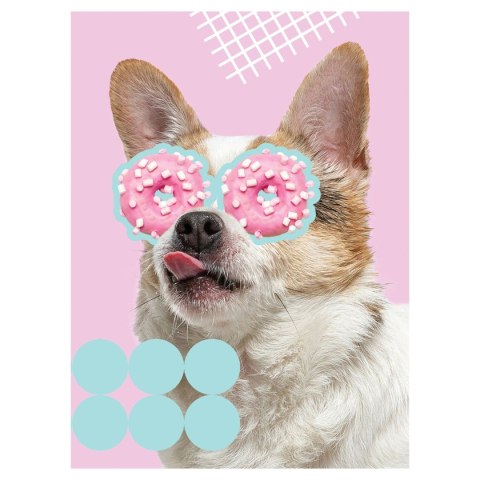 Zeszyt Funny Dog Unipap