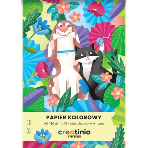 Papier kolorowy Creatinio A5 mix 80g Top 2000 (400176683)