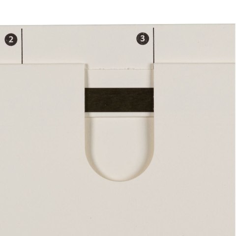 Skoroszyt Chic Ultimate wiszący A4 beżowy karton 230g Elba (100552093)