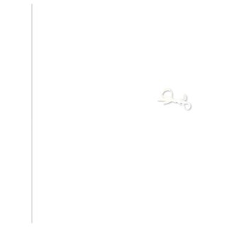 Teczka kartonowa na gumkę A3+ biały Interdruk (TEWIINTA3)