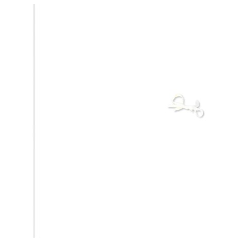 Teczka kartonowa na gumkę A3+ biały Interdruk (TEWIINTA3)