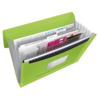 Teczka z przegródkami Vivida A4 kolor: zielony 6 przegródek [mm:] 330x260 Esselte (624019)