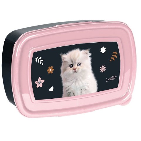 Śniadaniówka Kot Paso (PP25CO-302)