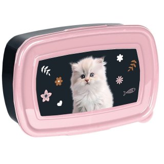 Śniadaniówka Kot Paso (PP25CO-302)