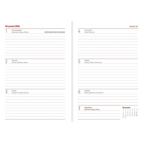 Kalendarz nauczyciela książkowy (terminarz) PCV KWIATY bezbarwny B6 Wydawnictwo Wokół Nas (A5TN089B)