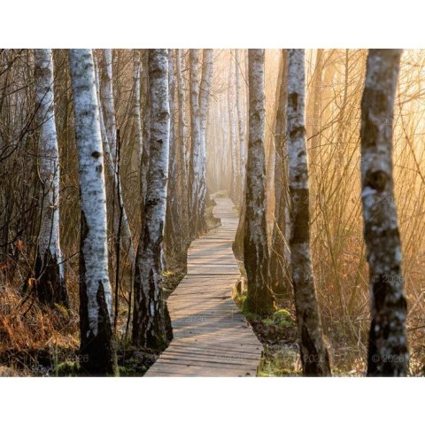 Kalendarz ścienny 13-planszowe 320mm x 470mm Lucrum (RW04)