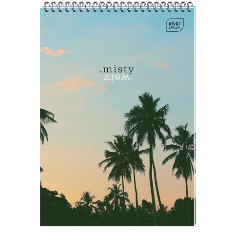 Kołozeszyt (kołonotatnik) A4 100k. krata Interdruk (KOŁOZA4100K)