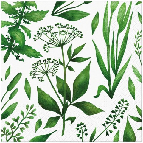 Serwetki TaT Green cocktail mix bibuła [mm:] 330x330 Paw (TL124200)