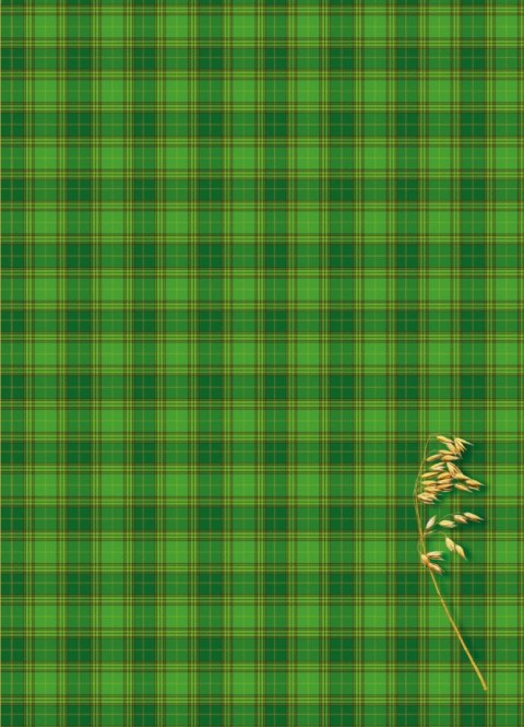 Teczka kartonowa na gumkę A4 mix Kreska