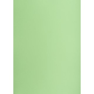 Brystol groszkowy B1 groszkowy 225g 1k Creatinio (400150266)