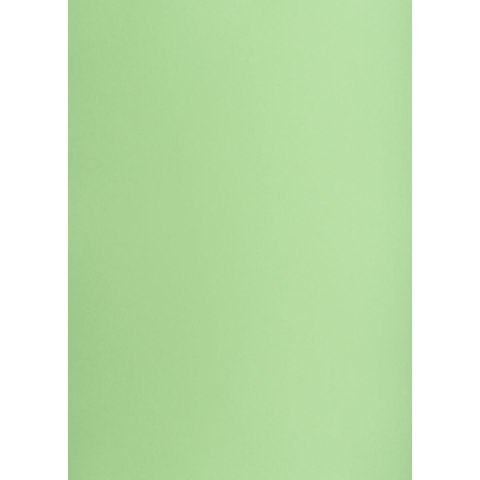 Brystol groszkowy B1 groszkowy 225g 1k Creatinio (400150266)