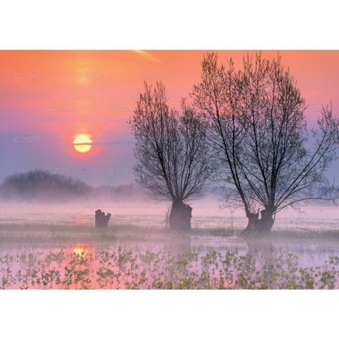 Kalendarz ścienny Pejzaże Polski rodzinny 2023 280mm x 200mm Lucrum (WL03)