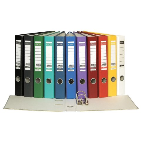 Segregator dźwigniowy Ekologiczny A4 50mm zielony Bantex (100551804)