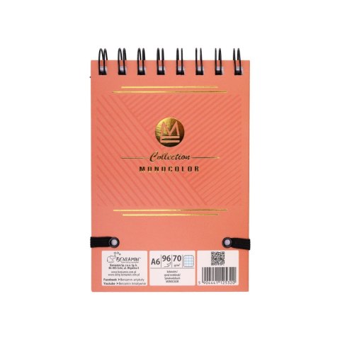 Kołozeszyt (kołonotatnik) MONOCOLOR A6 96k. krata (nd) (5320)