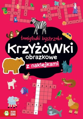 Książeczka edukacyjna Łamigłówki bystrzaka Krzyżówki obrazkowe Zielona Sowa