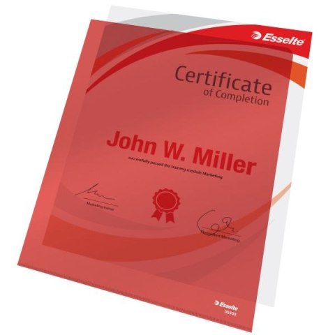 Ofertówka A4 kolor: czerwony typu L 150 mic. Esselte (55433)