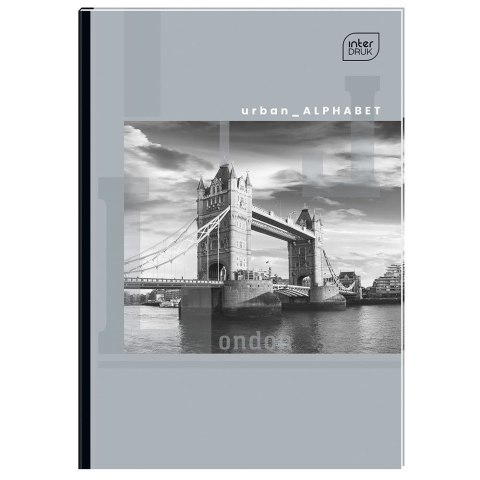 Brulion B5 96k. 70g linia Interdruk (BRB596P)