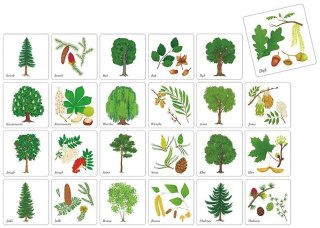 Gra pamięciowa DRZEWA POLSKIE Adamigo