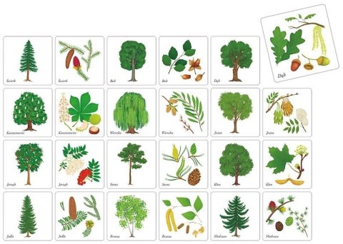 Gra pamięciowa DRZEWA POLSKIE Adamigo