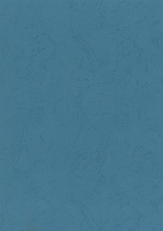 Karton do bindowania skóropodobny A4 niebieski 250g Titanum