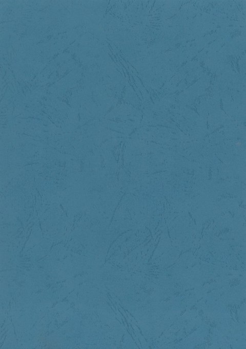 Karton do bindowania skóropodobny A4 niebieski 250g Titanum