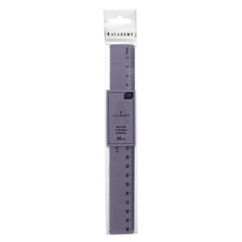 Linijka ACADEMY KOLOROWA 20cm Interdruk
