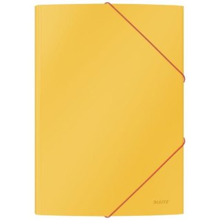 Teczka kartonowa Cosy Leitz (30020019)