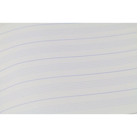 Zeszyt do nut A4 16k. 70g [mm:] 295x205 Rexus (607371)