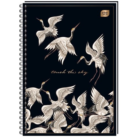 Kołozeszyt (kołonotatnik) B5 160k. 70g krata Interdruk (KOŁOZB5160M)