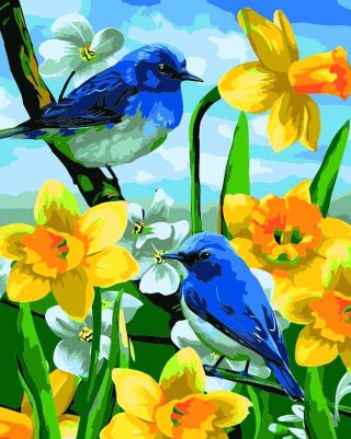 Zestaw kreatywny Malowanie po numerach 40x50cm Ptaszki na żonkilach Flamingo Line (FSY689)