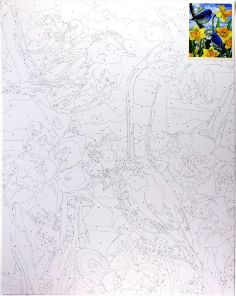 Zestaw kreatywny Malowanie po numerach 40x50cm Ptaszki na żonkilach Flamingo Line (FSY689)