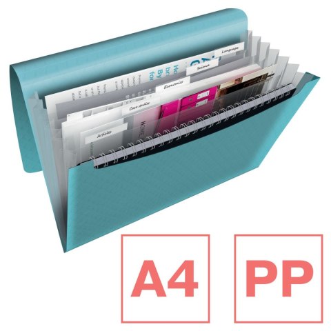 Teczka z przegródkami Colour Breeze A4 kolor: turkusowy 6 przegródek Esselte (626251)