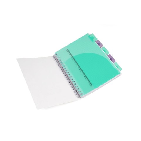 Kołobrulion Disney B5 100k. 80g krata Patio (74975PTR)