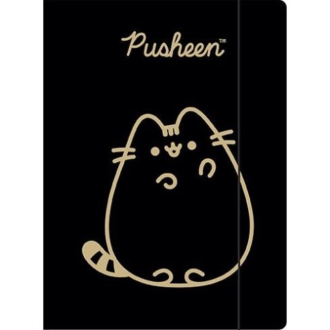 Teczka kartonowa na gumkę Pusheen gold A4 różne 300g Unipap