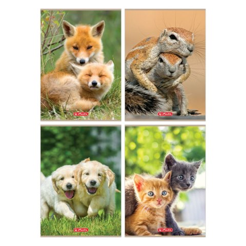 Zeszyt Animals 9583097 A4 32k. 70g linia kolor Herlitz (400197965)