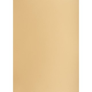 Brystol A1 jasnobrązowy 160g 25k [mm:] 610x860 TOP-2000 (400149527)