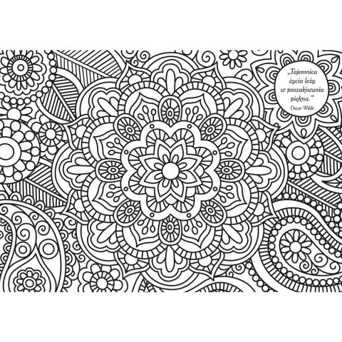Kolorowanka Złote marzenia metalizowana 5902277306227 Interdruk
