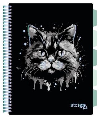 Kołozeszyt (kołonotatnik) ANIMALS KOT A4 100k. 80g krata Strigo (PADS019)