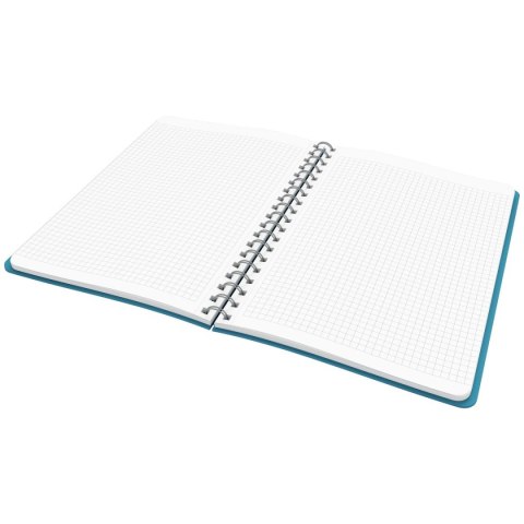 Notes (notatnik) Cosy Leitz (44840061)