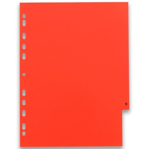 Przekładka numeryczna A4 mix 12k 1-12 [mm:] 225x300 Oxford (100204769)