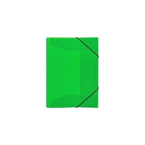 Teczka plastikowa Neon Biurfol (TG-NEON-A4-03)