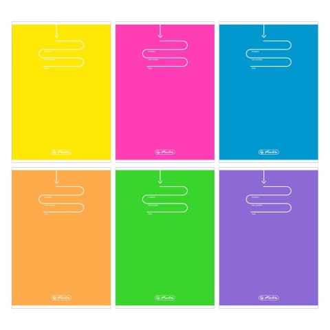 Zeszyt Color Blocking A5 60k. 70g krata Herlitz (9583212)
